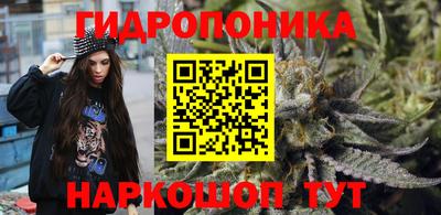 гидропоника Кингисепп