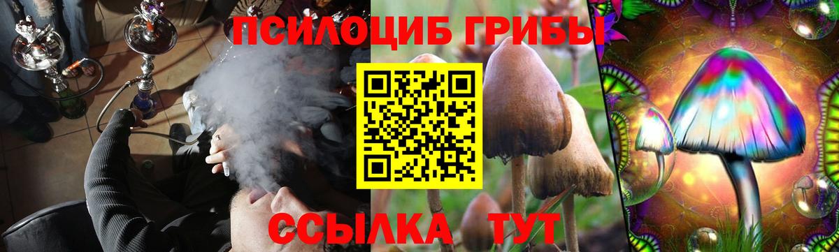 Псилоцибиновые грибы ЛСД  Псилоцибиновые грибы ЛСД  Кемерово  Вход с VPN 